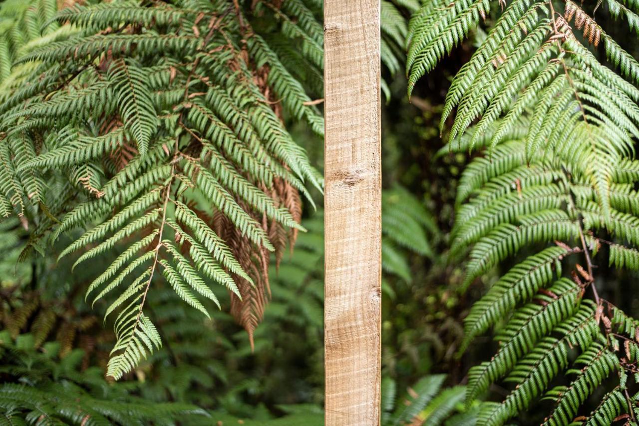 Punakaiki Treehouse Limited Villa Exterior foto