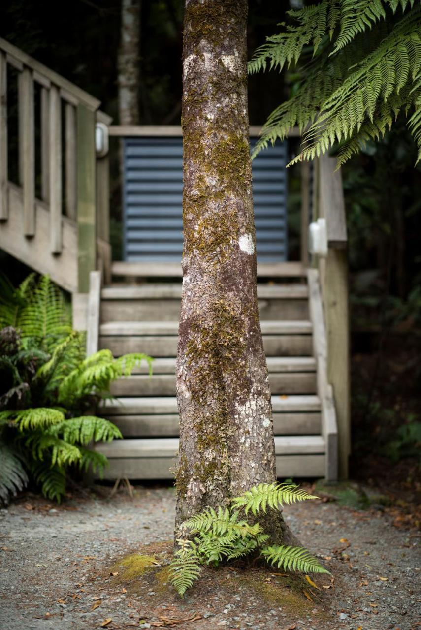 Punakaiki Treehouse Limited Villa Exterior foto